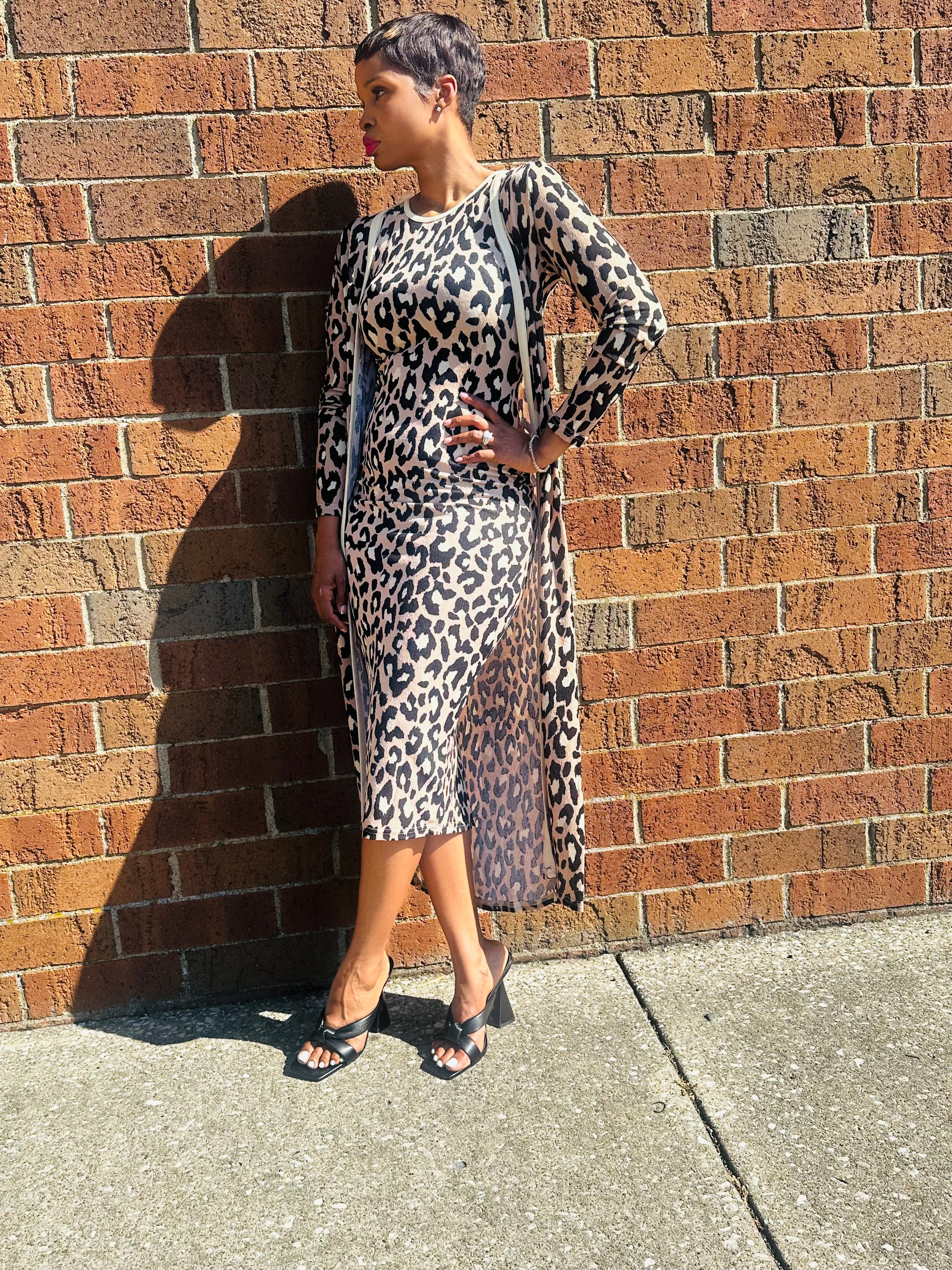 Leopard Dress Set