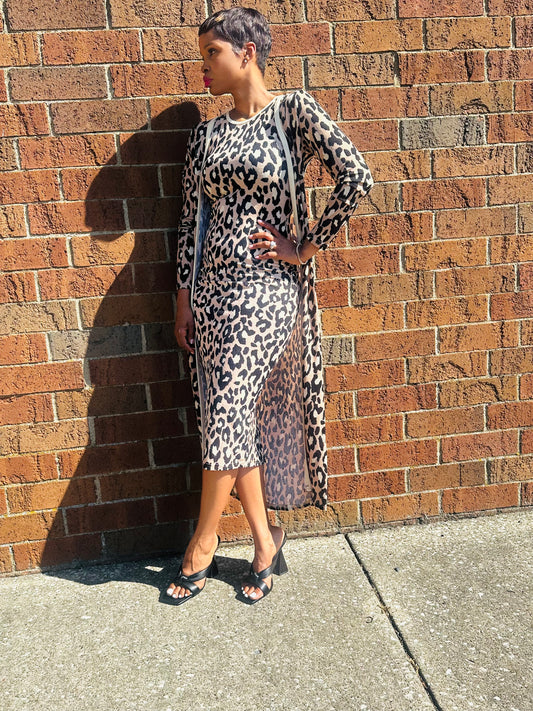 Leopard Dress Set