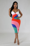 Multi Colored Dress